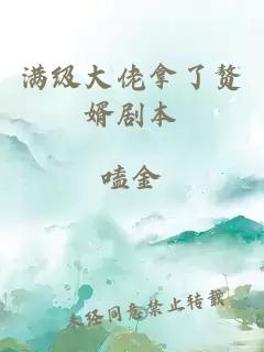 满级大佬拿了赘婿剧本