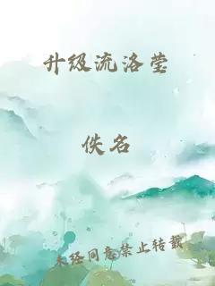 升级流洛莹