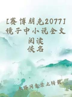 [赛博朋克2077]镜子中小说全文阅读