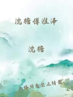 沈糖傅淮泽