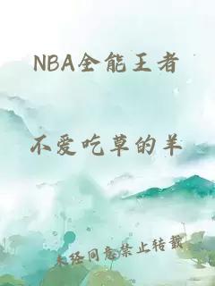 NBA全能王者