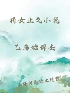 将女止戈小说